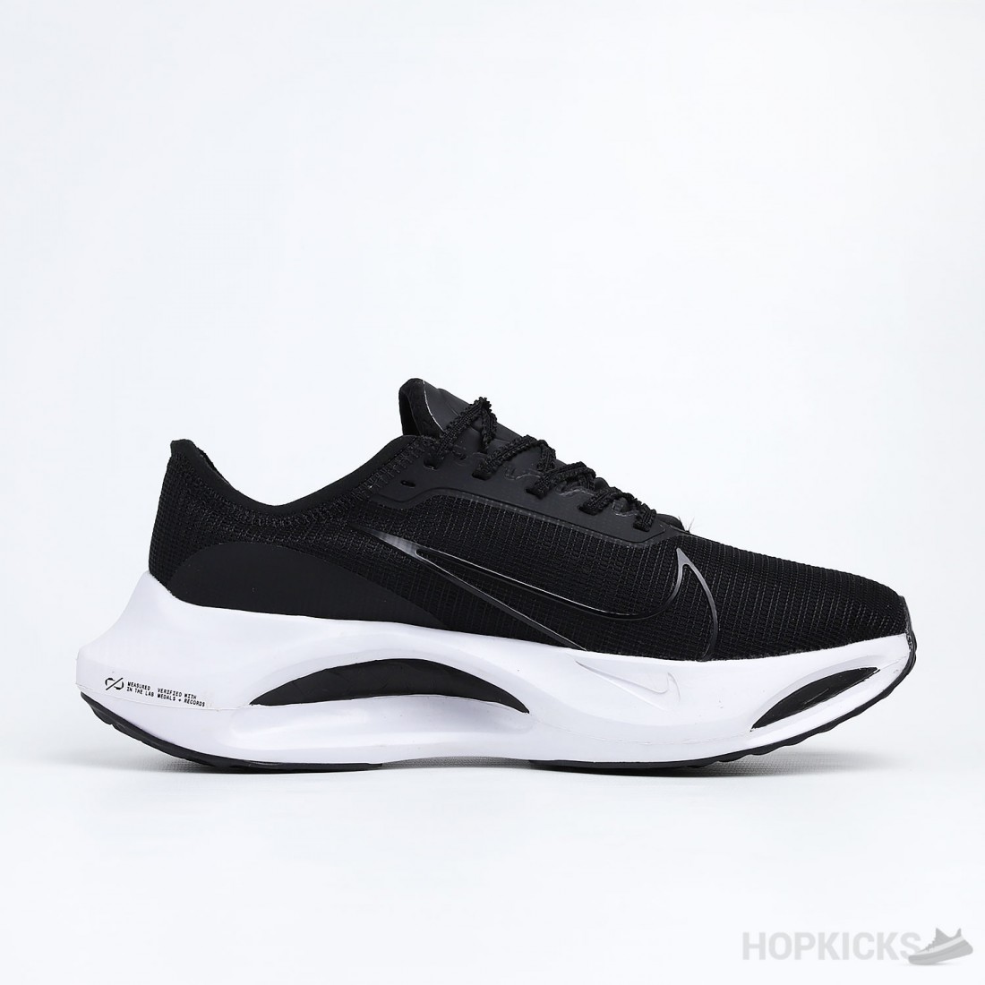 pegasus 39 pro